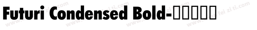 Futuri Condensed Bold字体转换